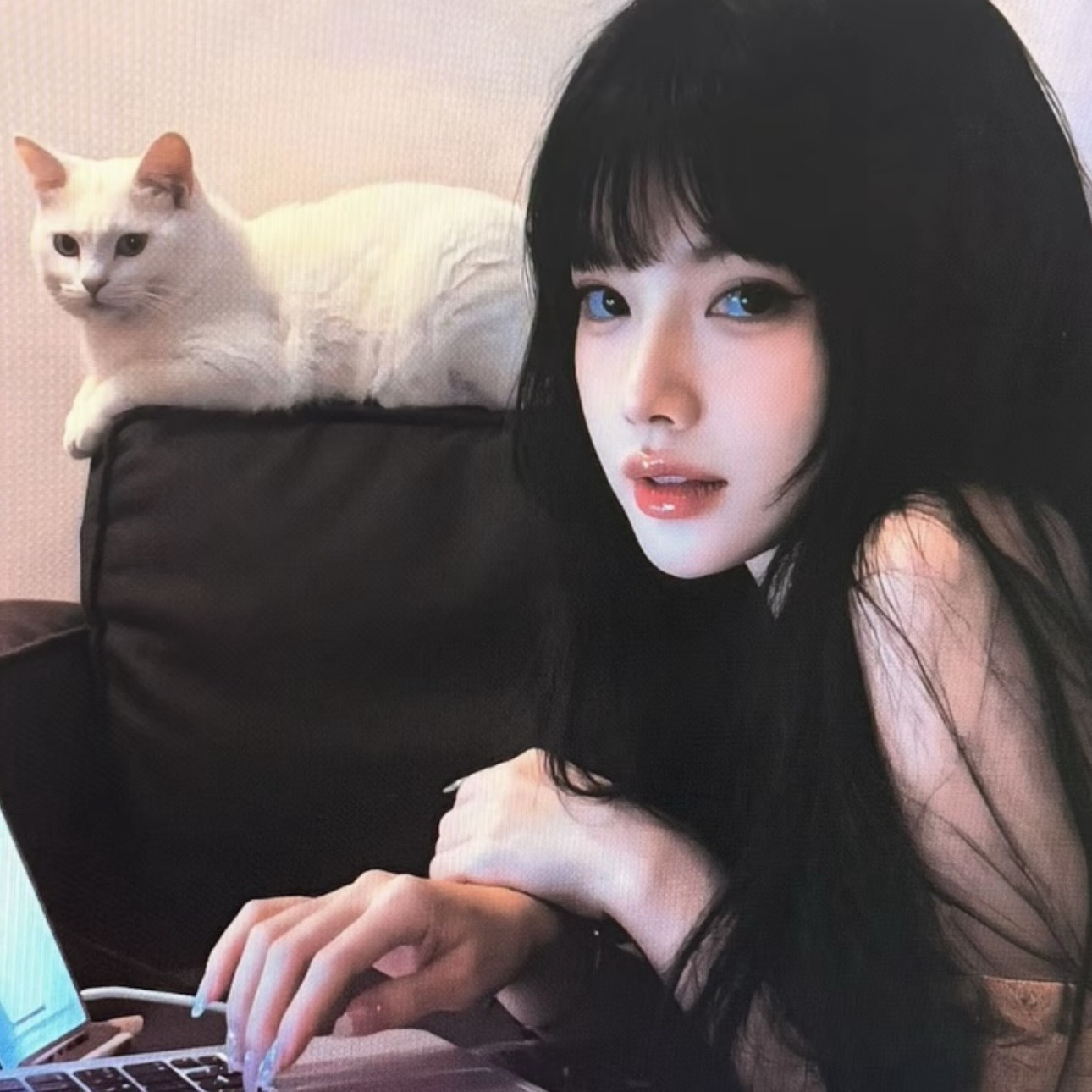 小缘导航头像